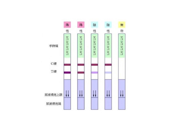 乐夫排卵试纸结果图解