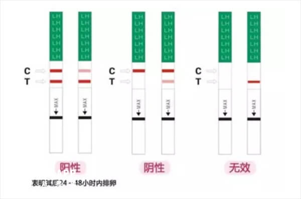 排卵試紙結果圖解