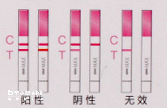 排卵试纸结果图解