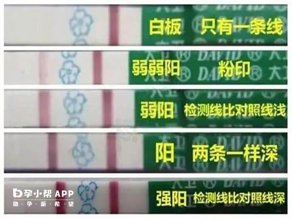 排卵试纸结果对照图