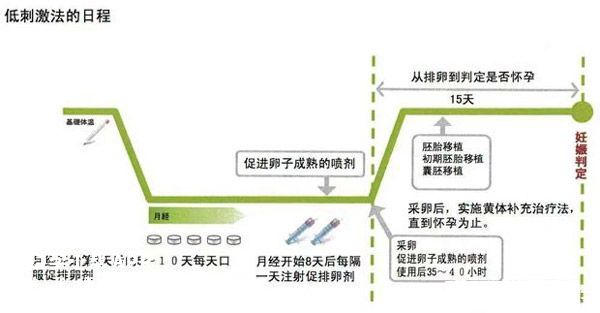 微刺激方案流程