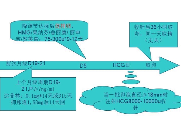 超长方案适用于激素不正常的人