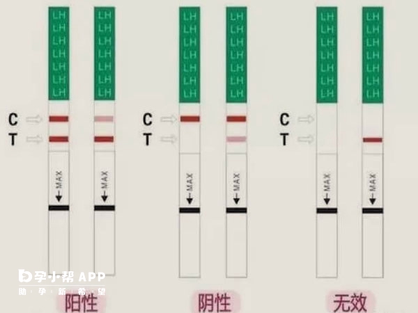 排卵試紙只能監測排卵時間