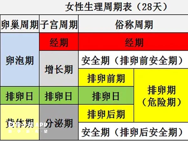 安全期和排卵期對照圖不是完全準確