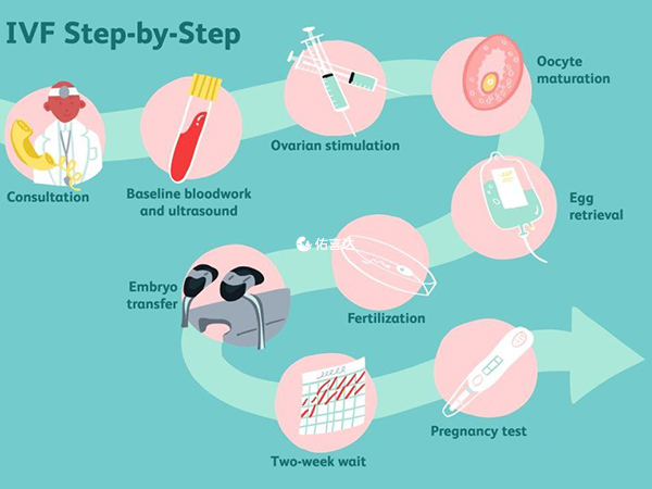 试管婴儿流程单
