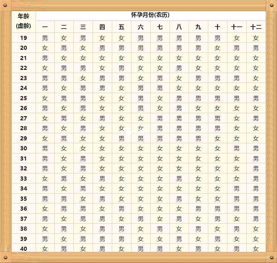 2023版本的清宫图表