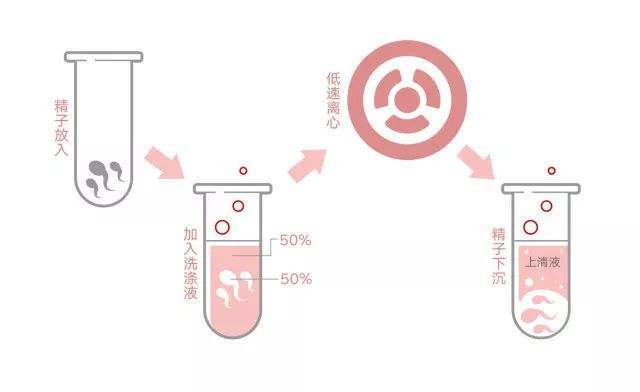 洗精的具体流程