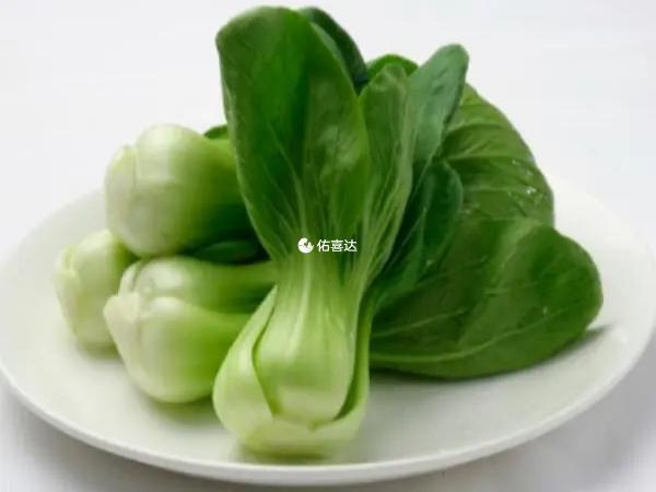 油菜屬於涼性食物