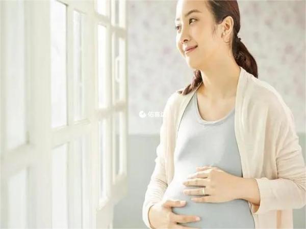 兔年夏季和冬季怀孕生女孩几率大