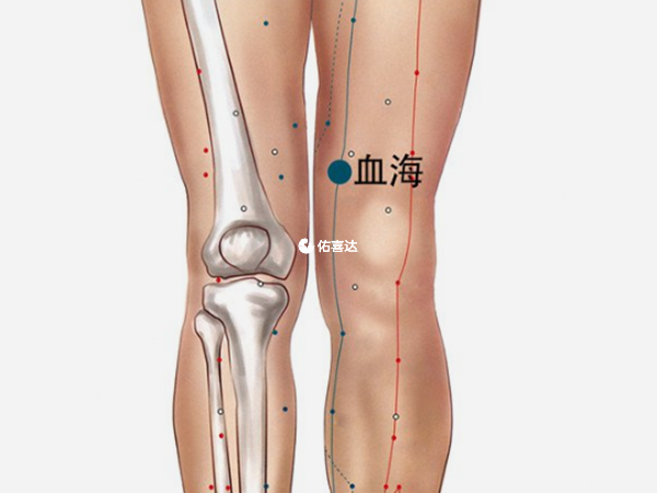 按摩血海穴可以催经