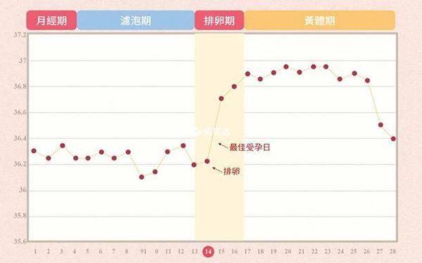 著床成功後體溫會下降