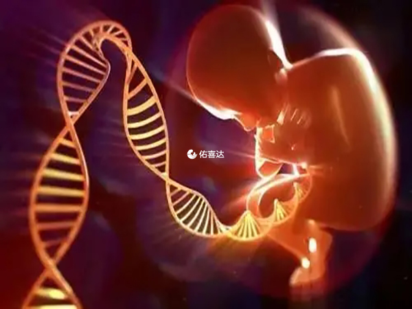 針對唐篩高危人群是有必要做一下無創DNA