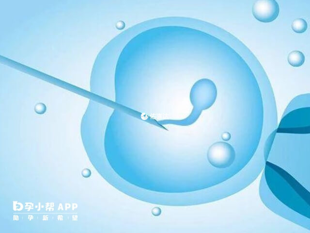 年紀越小的女性供卵試管成功率越高