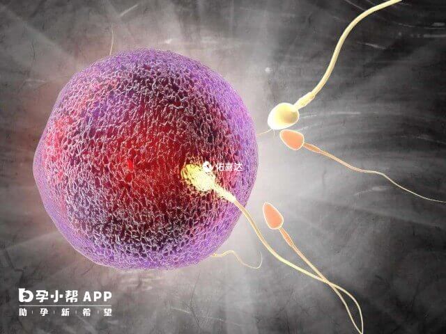 卵泡不到18mm做試管不一定能配對成功