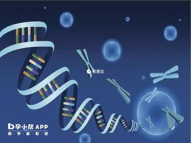 国内三代试管不能选择男孩女孩