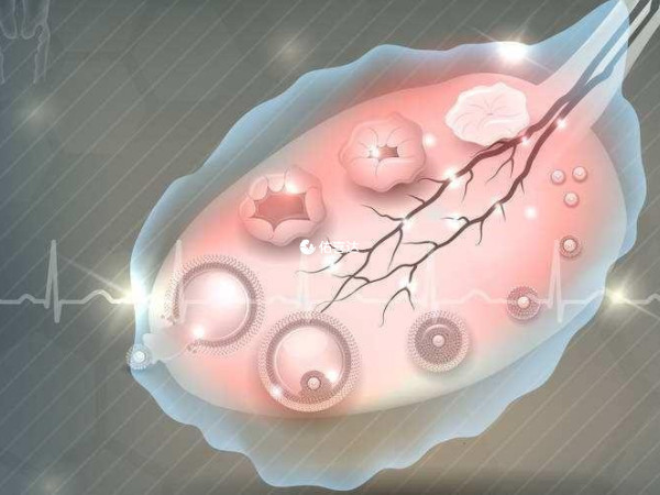 卵泡萎縮是引起不孕的重要原因之一