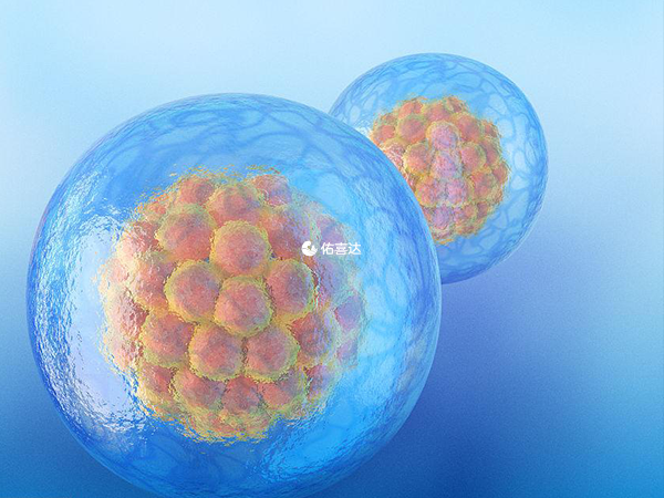 忻州试管婴儿医院不能包成功