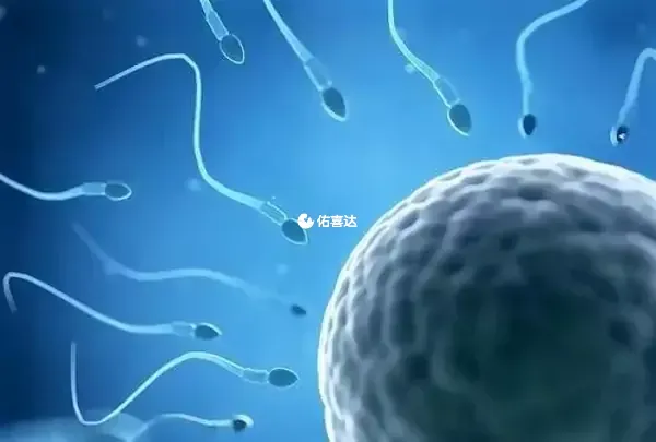 XY精子分離術俗稱生男育女術