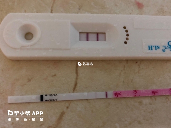 3cb也可以移植