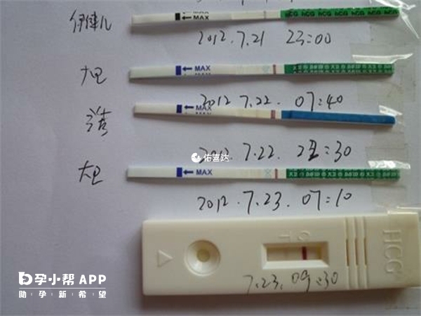 排卵期同房懷孕機率高