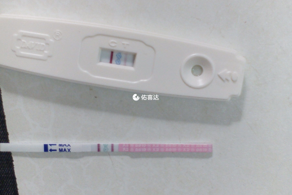 大衛早孕試紙靈敏度高