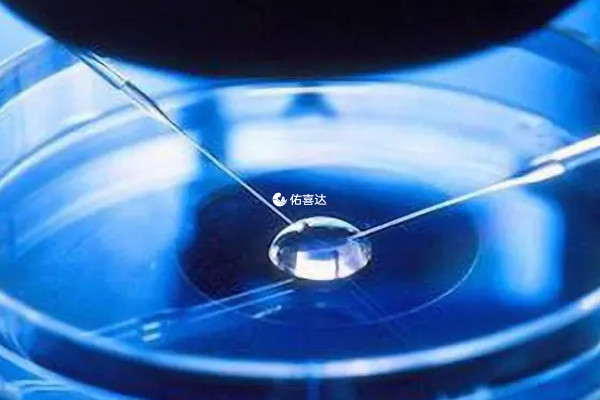 国家禁止利用试管技术进行胎儿性别筛查