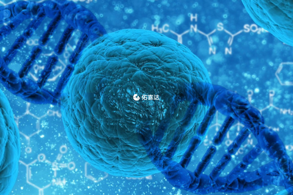 胚胎質量有問題會導致移植後出現胎停