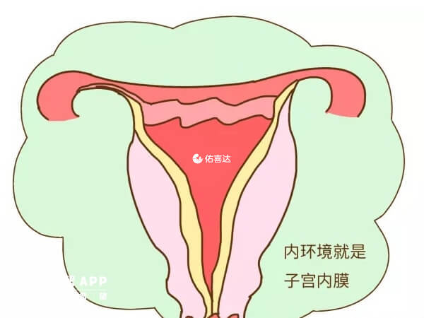 子宫内膜8毫米适合备孕