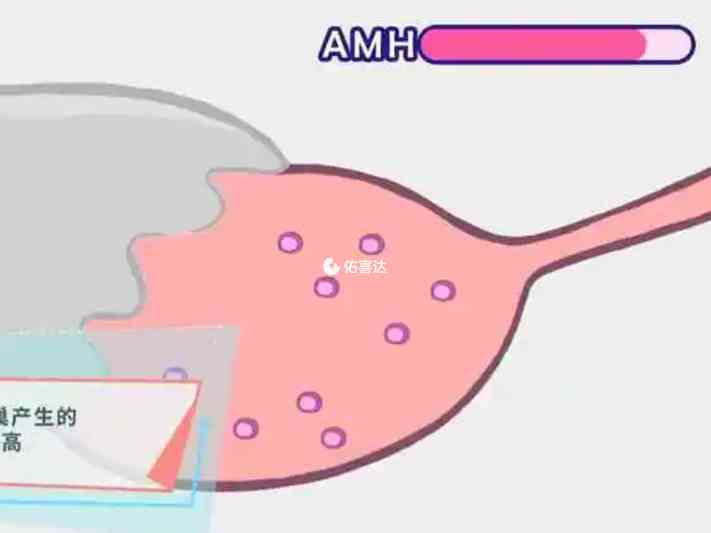 詳解amh值低的原因和調理回升方法