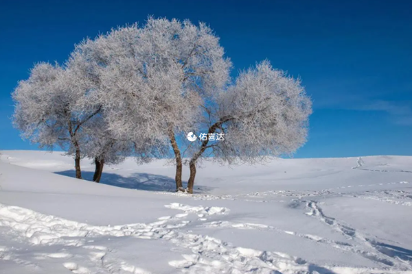 孕婦夢中見雪是什麼原因