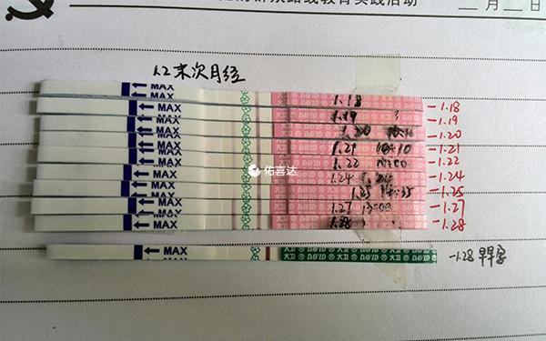 排卵試紙能準確計算排卵日