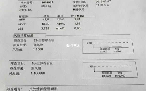 決定胎兒性別的是XY性染色體