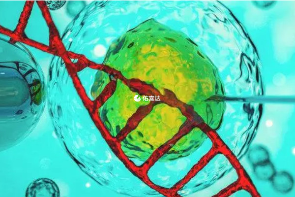 唐篩有風險才能做免費無創dna